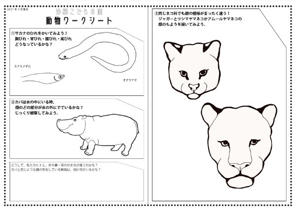 沖縄こどもの国ワークシート【小学校高学年からver.】