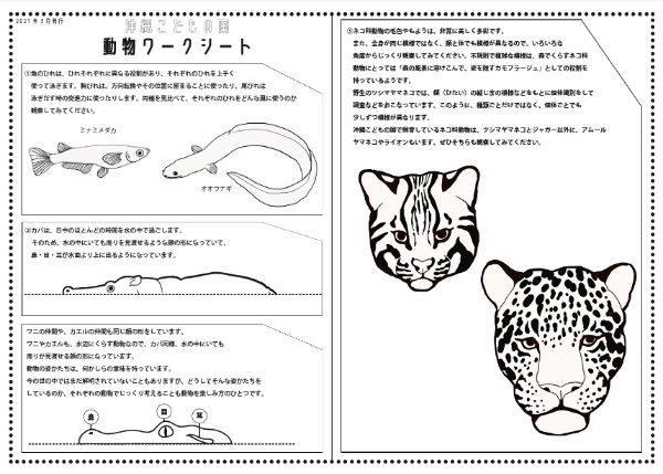 沖縄こどもの国ワークシート【小学校高学年からver.解説】