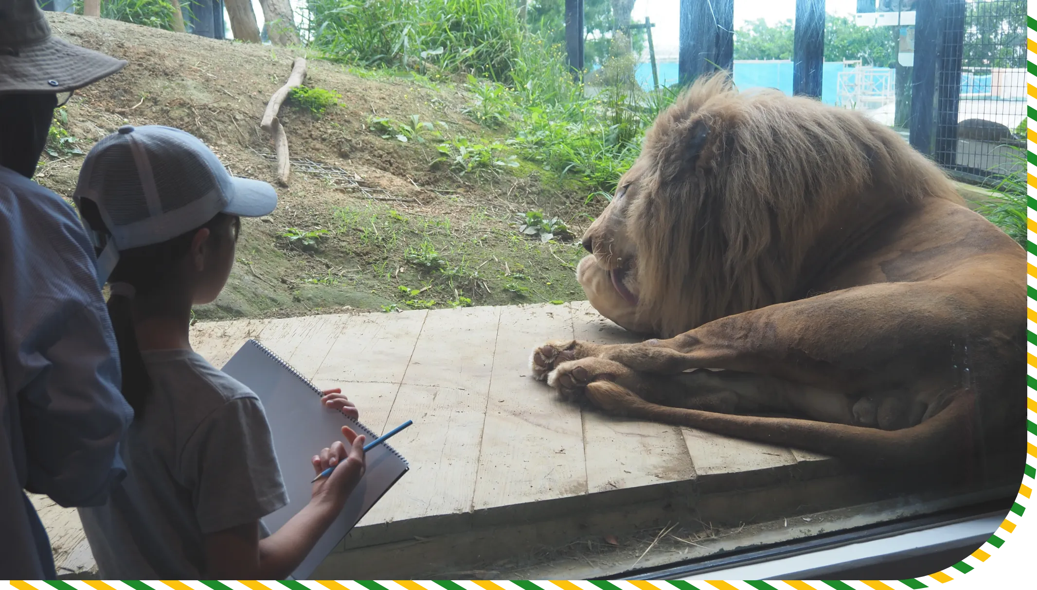 動物園のイメージ