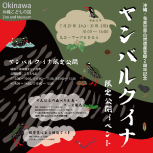 沖縄・奄美世界自然遺産登録2周年記念 ヤンバルクイナ限定公開イベント