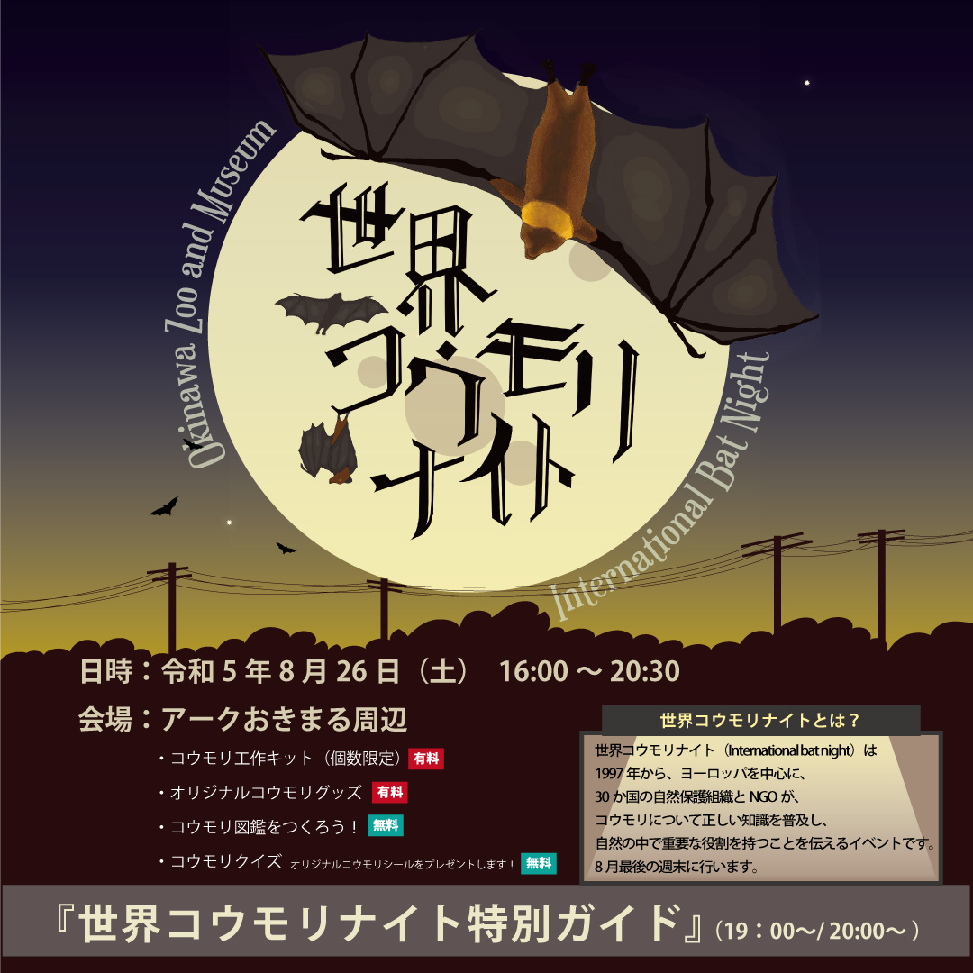 R5コウモリナイトポスター＿IG.jpg