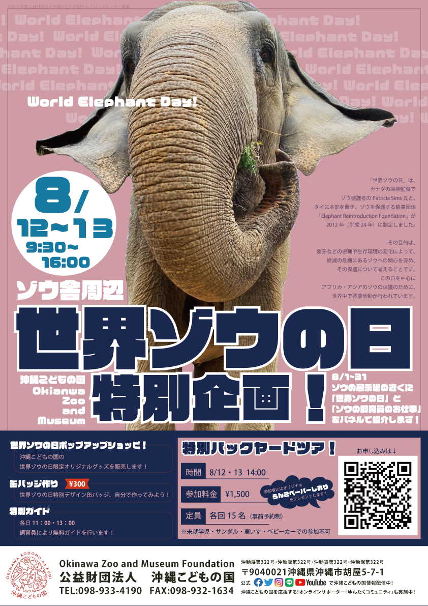 世界ゾウの日特別企画イベント | 沖縄こどもの国 - Okinawa Zoo & Museum