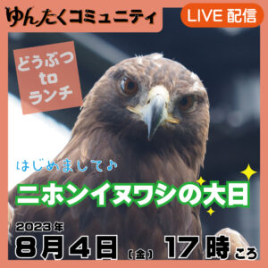 ゆんたくコミュニティ限定ライブ配信どうぶつtoランチ【ニホンイヌワシの大日】