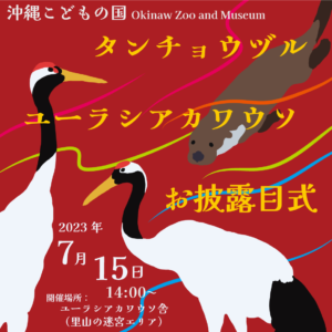 タンチョウヅル・ユーラシアカワウソお披露目式