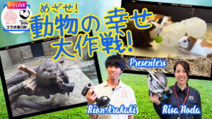 めざせ！動物の幸せ大作戦！【大牟田市動物園×沖縄こどもの国Youtubeライブ配信】