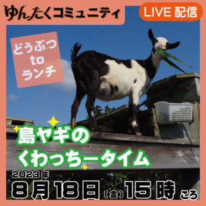 ゆんたくコミュニティ限定ライブ配信どうぶつtoランチ【島ヤギのくわっちータイム】