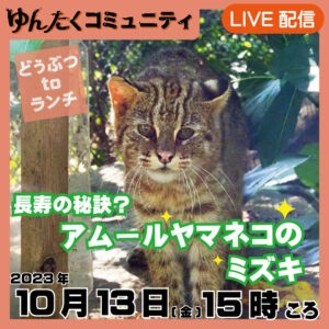 ゆんたくコミュニティ限定ライブ配信どうぶつtoランチ【長寿の秘訣？アムールヤマネコのミズキ】