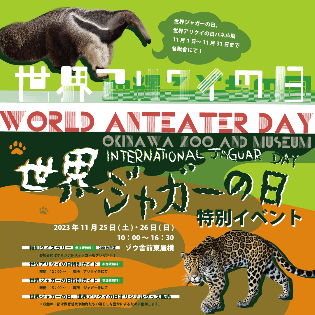 世界ジャガーの日・世界アリクイの日イベント | 沖縄こどもの国