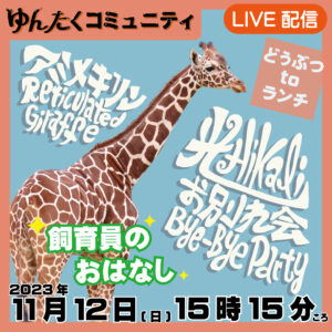 ゆんたくコミュニティ限定ライブ配信【アミメキリン光のお別れ会「飼育員のお話」】