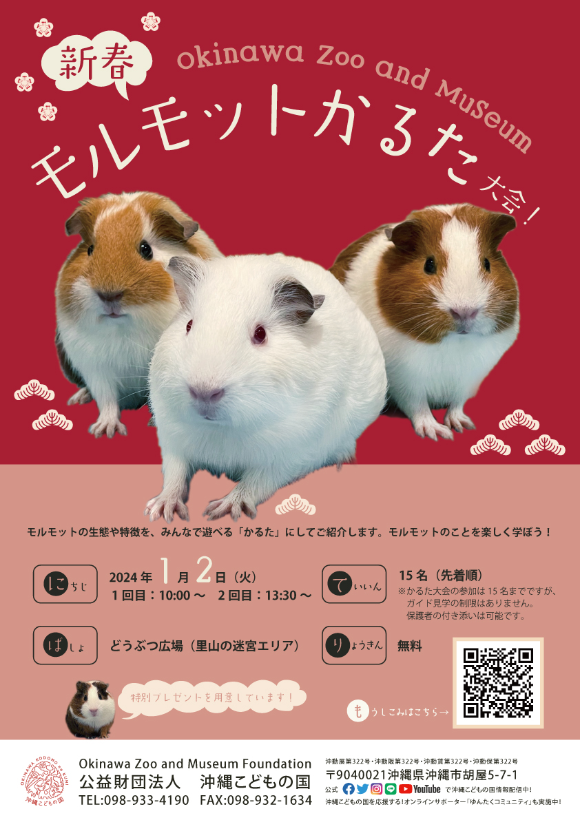 【モルモットページ】 新春モルモットかるた大会 | 沖縄こどもの国 - Okinawa Zoo & Museum