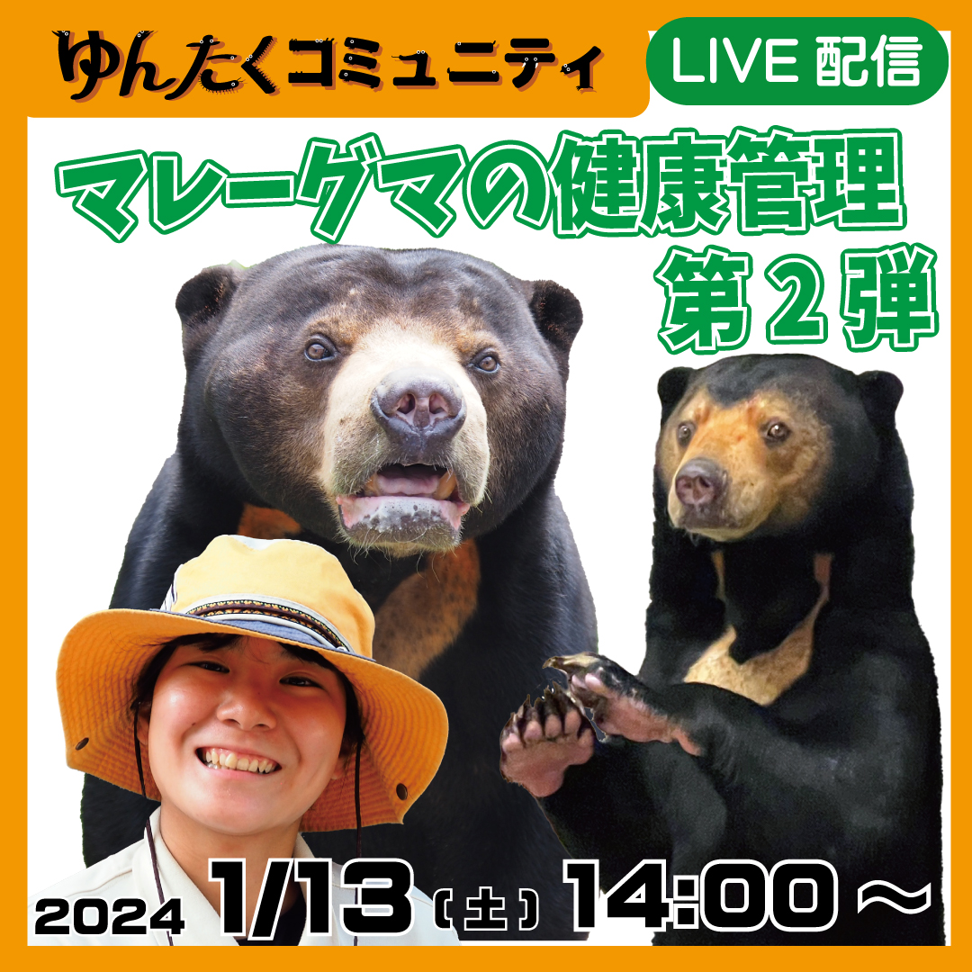 ゆんたくコミュニティ限定ライブ配信「マレーグマの健康管理第2弾