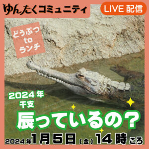ゆんたくコミュニティ限定ライブ配信どうぶつtoランチ【2024干支辰っているの？】