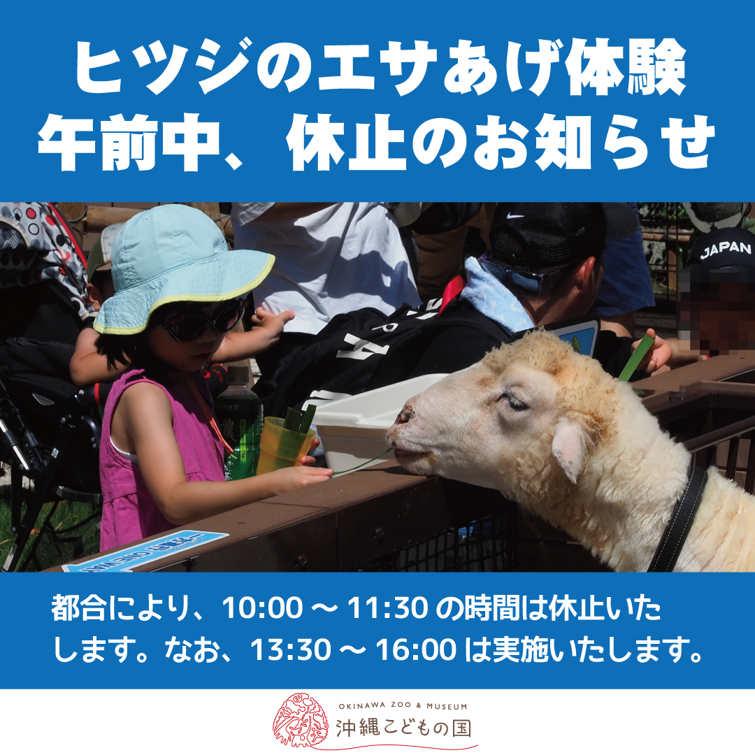 当面の間休止】ヒツジのエサあげ体験※午前中のみ | 沖縄こどもの国