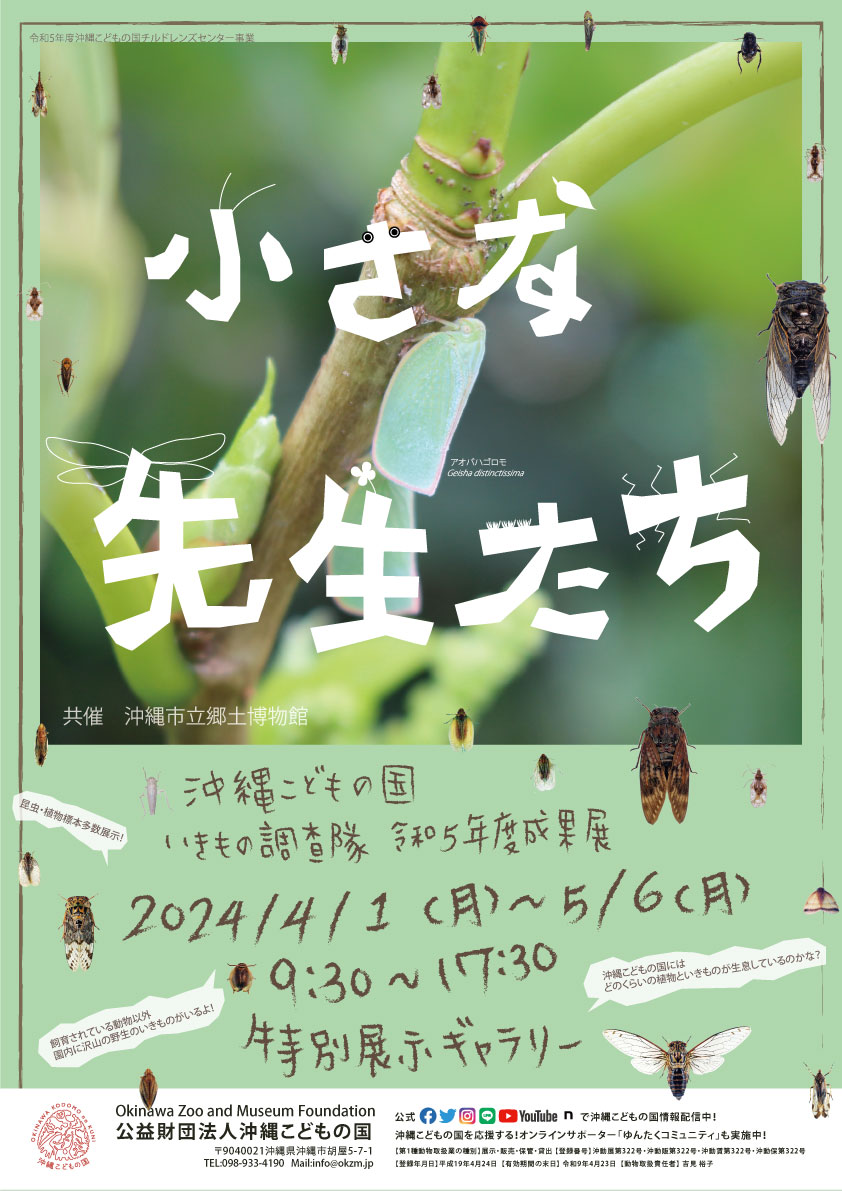 令和5年度いきもの調査隊活動成果展『小さな先生たち』