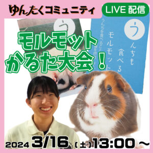 沖縄こどもの国ゆんたくコミュニティ限定配信「モルモットかるた大会！」