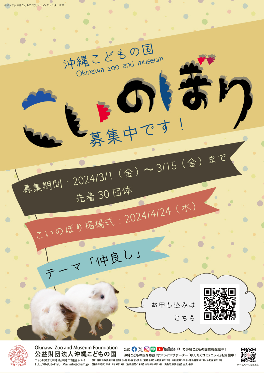 送料無料　匿名　鯉のぼり　行事　こどもの日 送料無料 匿名 鯉のぼり 行事 こどもの日 送料無料 匿名 鯉のぼり 行事