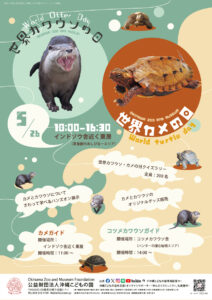 世界カワウソ＆カメの日特別イベント