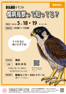 愛鳥週間企画「傷病鳥獣って知ってる？」