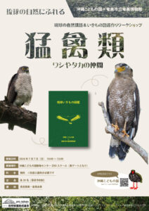 琉球の自然にふれる「ワシやタカ、猛禽類のいきもの図鑑作り」