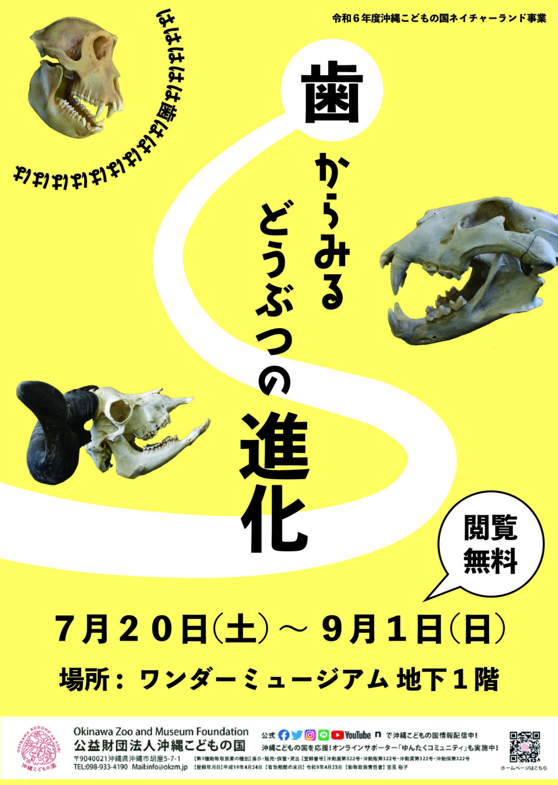 歯からみる 動物の進化