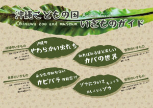 【8月】沖縄こどもの国いきものガイド