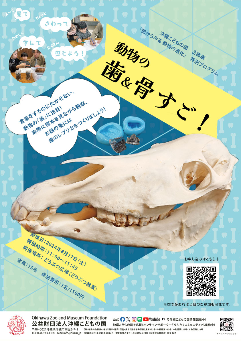 企画展特別ワークショップ「動物の歯＆骨すご！」 | 沖縄こどもの国