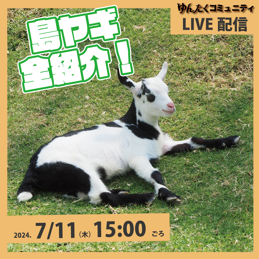 やぎしま ゆんたくコミュニティ限定ライブ配信「島ヤギ全紹介」 | 沖縄こどもの