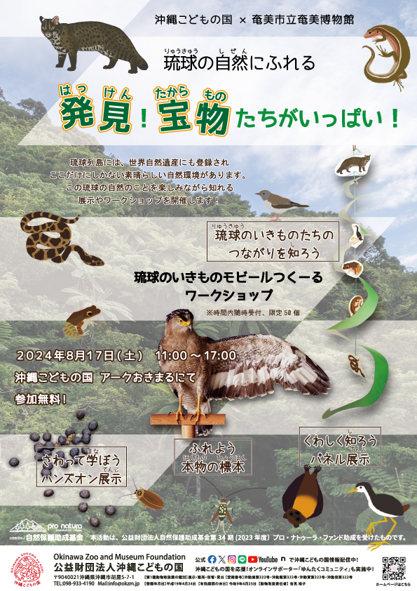 琉球の自然にふれる－発見！宝物たちがいっぱい！