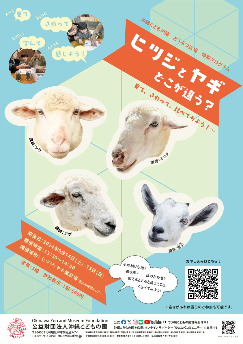 〇親子で観察2409＿羊と山羊.jpg