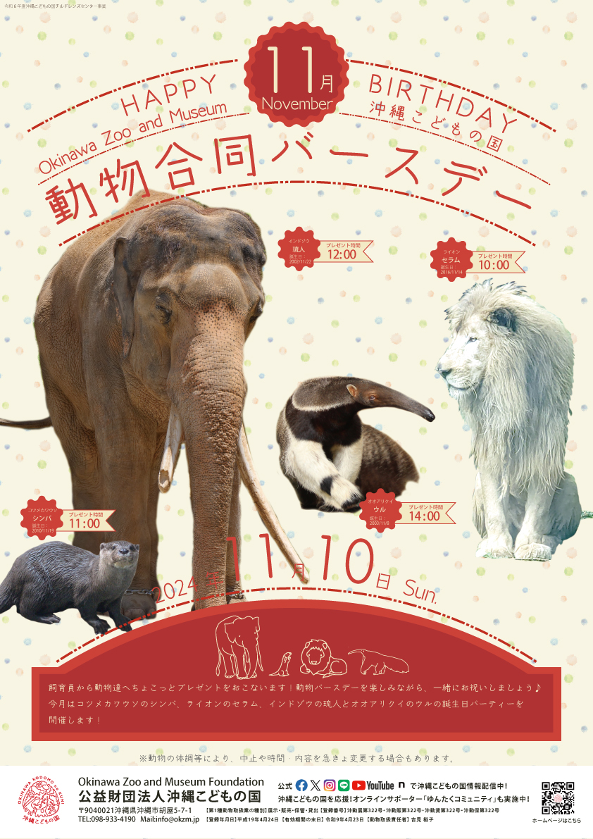 動物11月合同バースデー！
