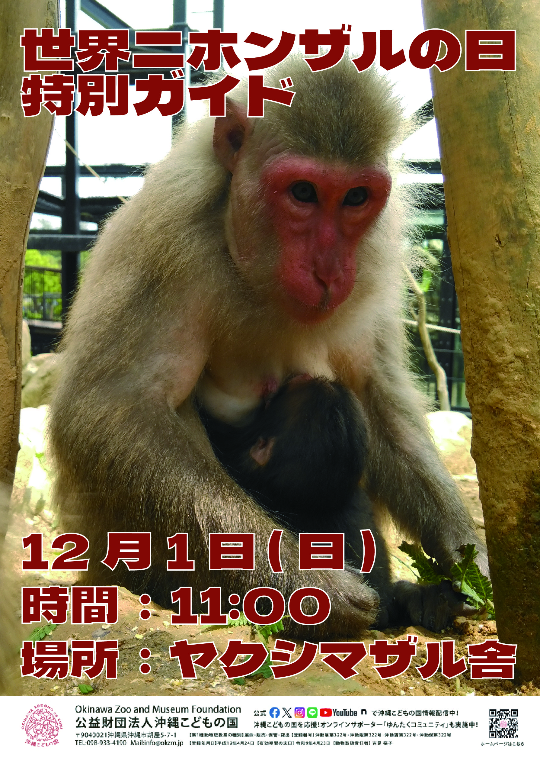世界ニホンザルの日特別ガイド | 沖縄こどもの国 - Okinawa Zoo & Museum