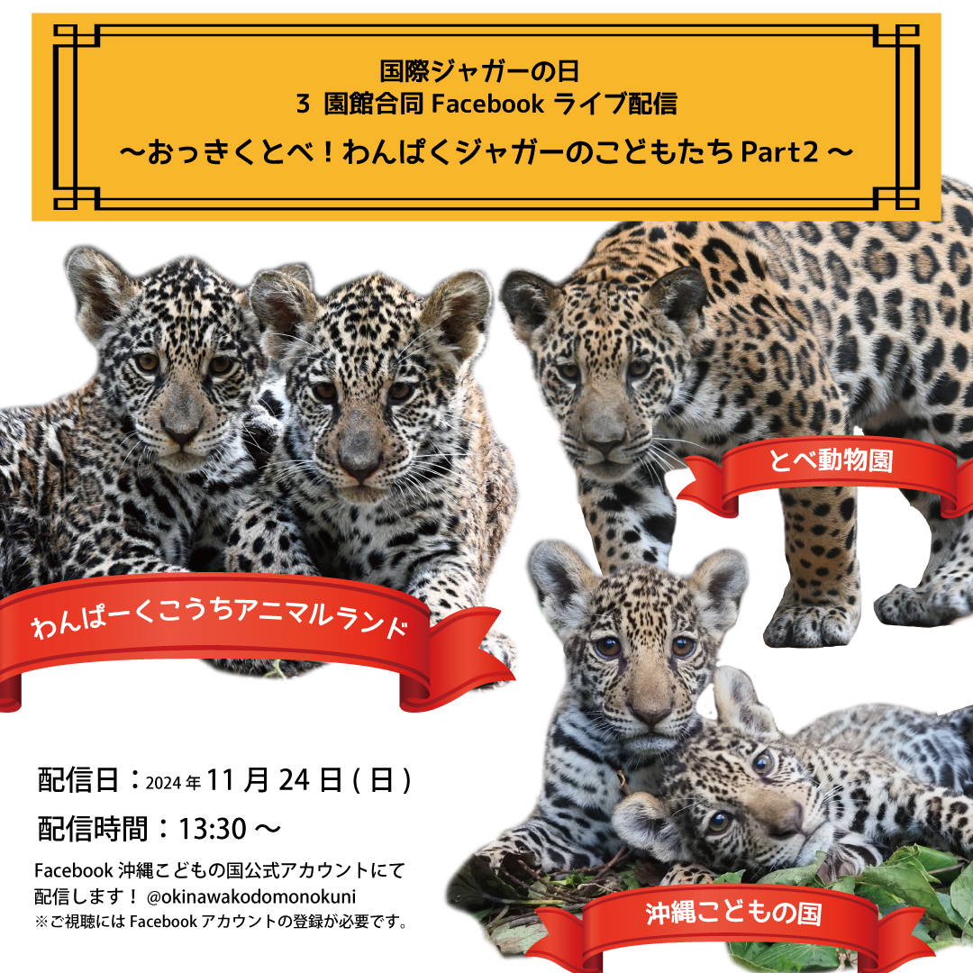 ジャガー赤ちゃん3園館合同