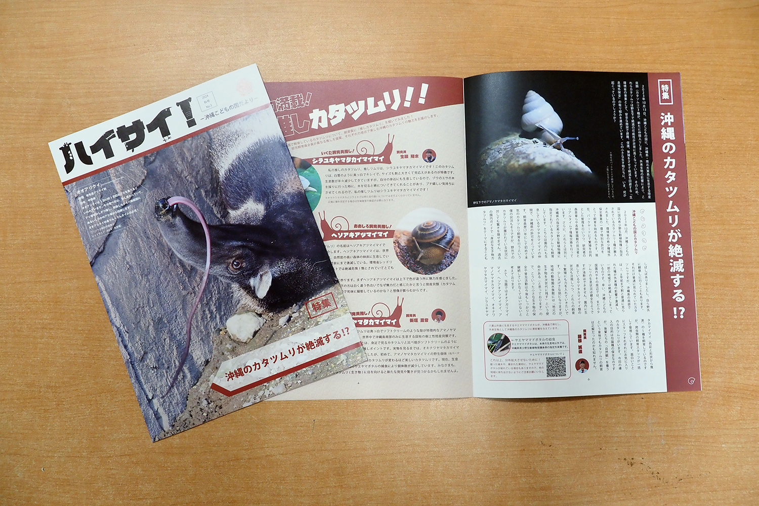 from沖縄ページ 沖縄こどもの国情報誌「ハイサイ！－沖縄こどもの国だより－vol.3