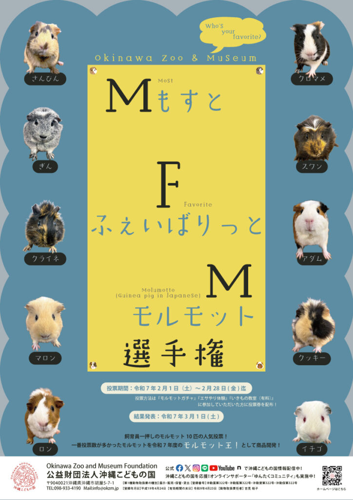 もすとふぇいばりっとモルモット（Ｍ・Ｆ・Ｍ）選手権