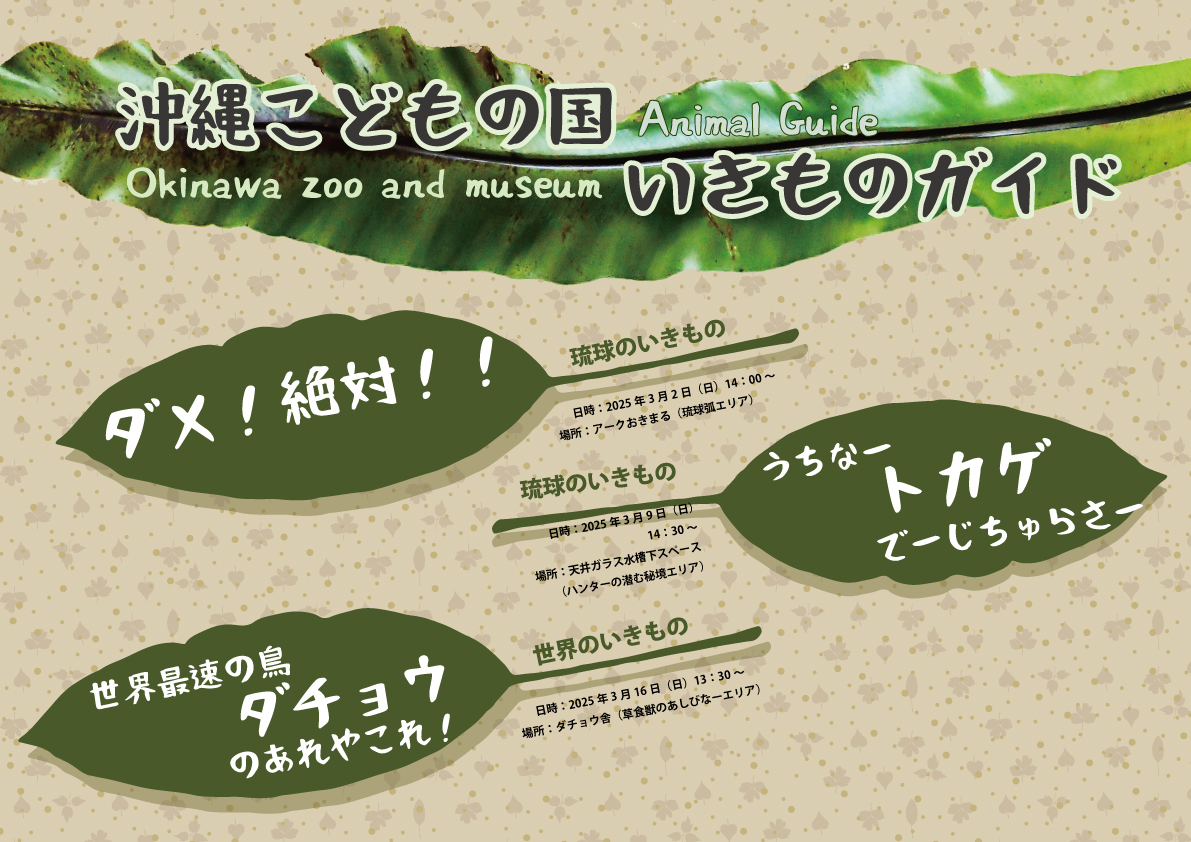 3月】沖縄こどもの国いきものガイド | 沖縄こどもの国 - Okinawa Zoo
