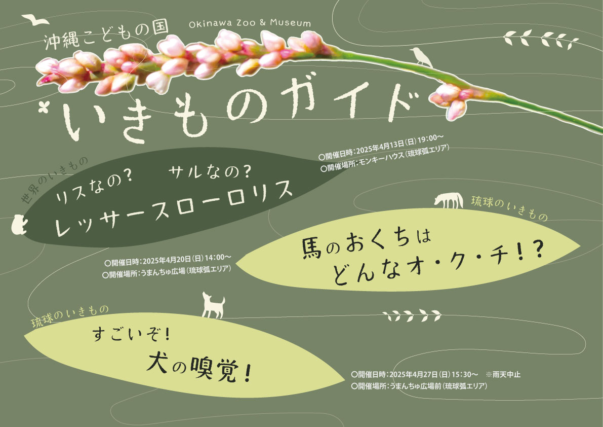 4月】沖縄こどもの国いきものガイド | 沖縄こどもの国 - Okinawa Zoo