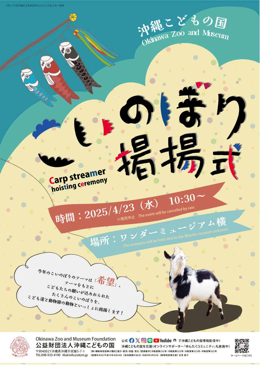 送料無料　匿名　鯉のぼり　行事　こどもの日 楽天市場】こどもの日 こいのぼりの通販