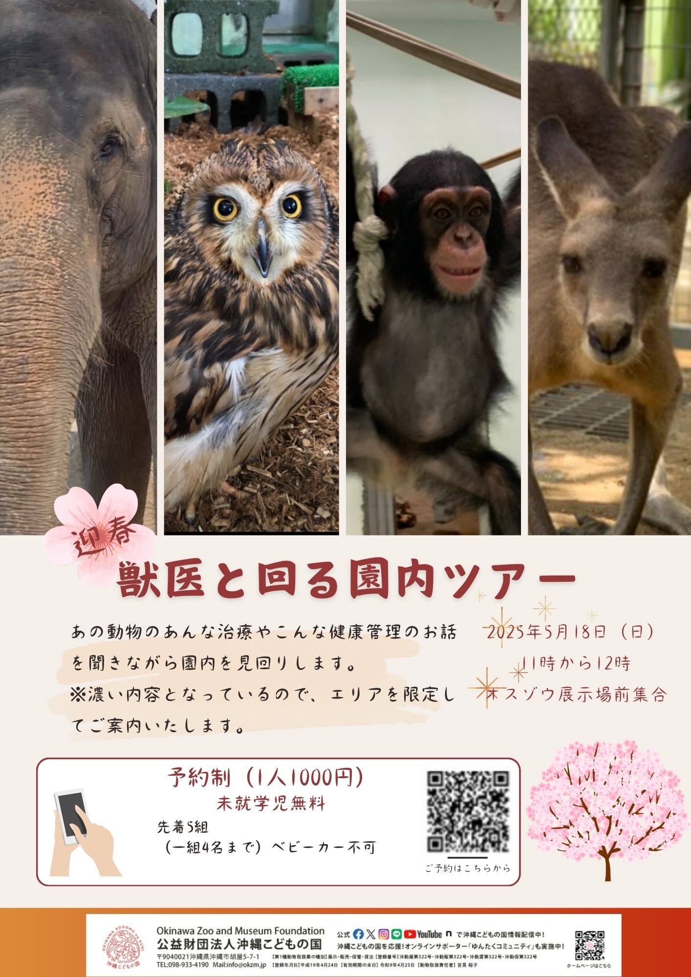 獣医と動物園見回りツアー | 沖縄こどもの国 - Okinawa Zoo & Museum