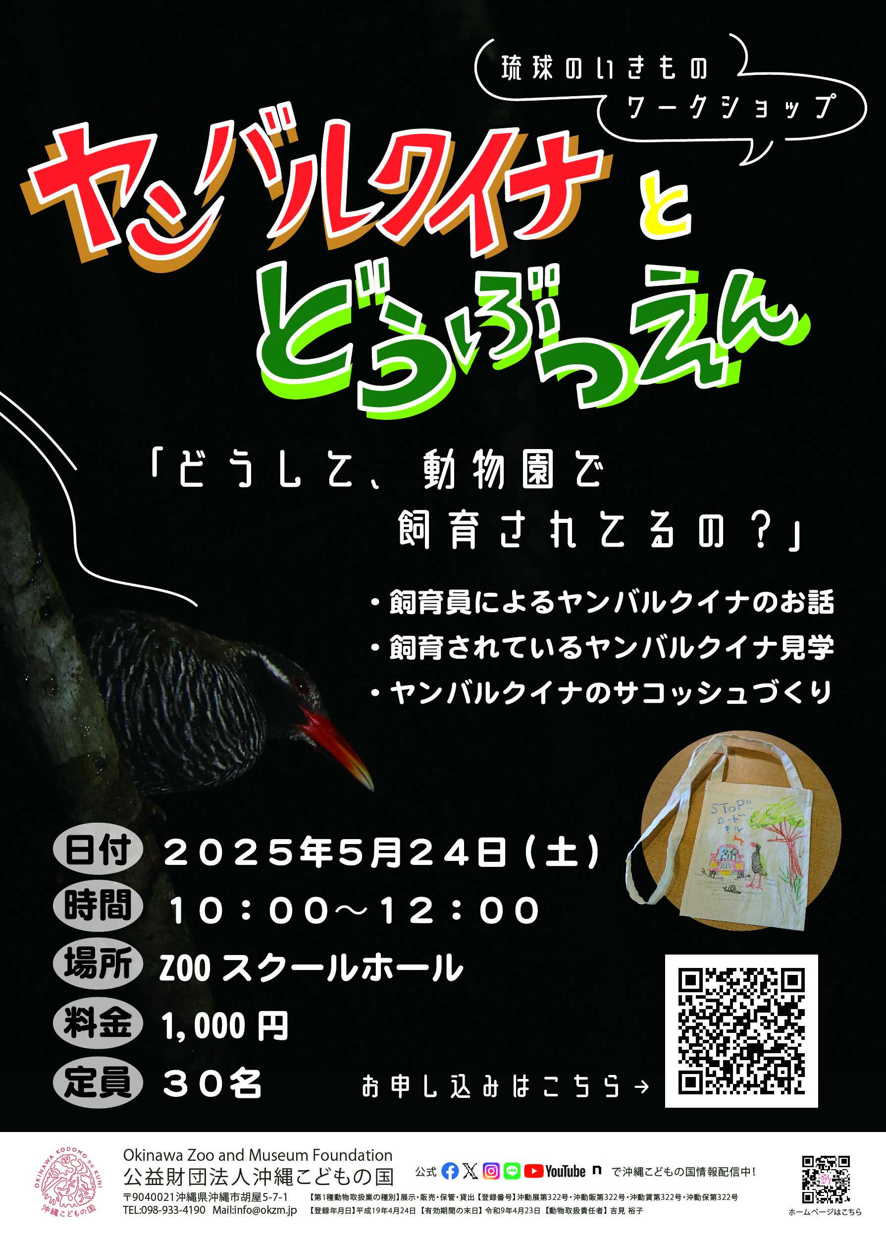 琉球のいきものワークショップ「ヤンバルクイナと動物園」 | 沖縄