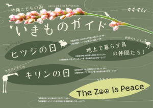 【6月】沖縄こどもの国いきものガイド