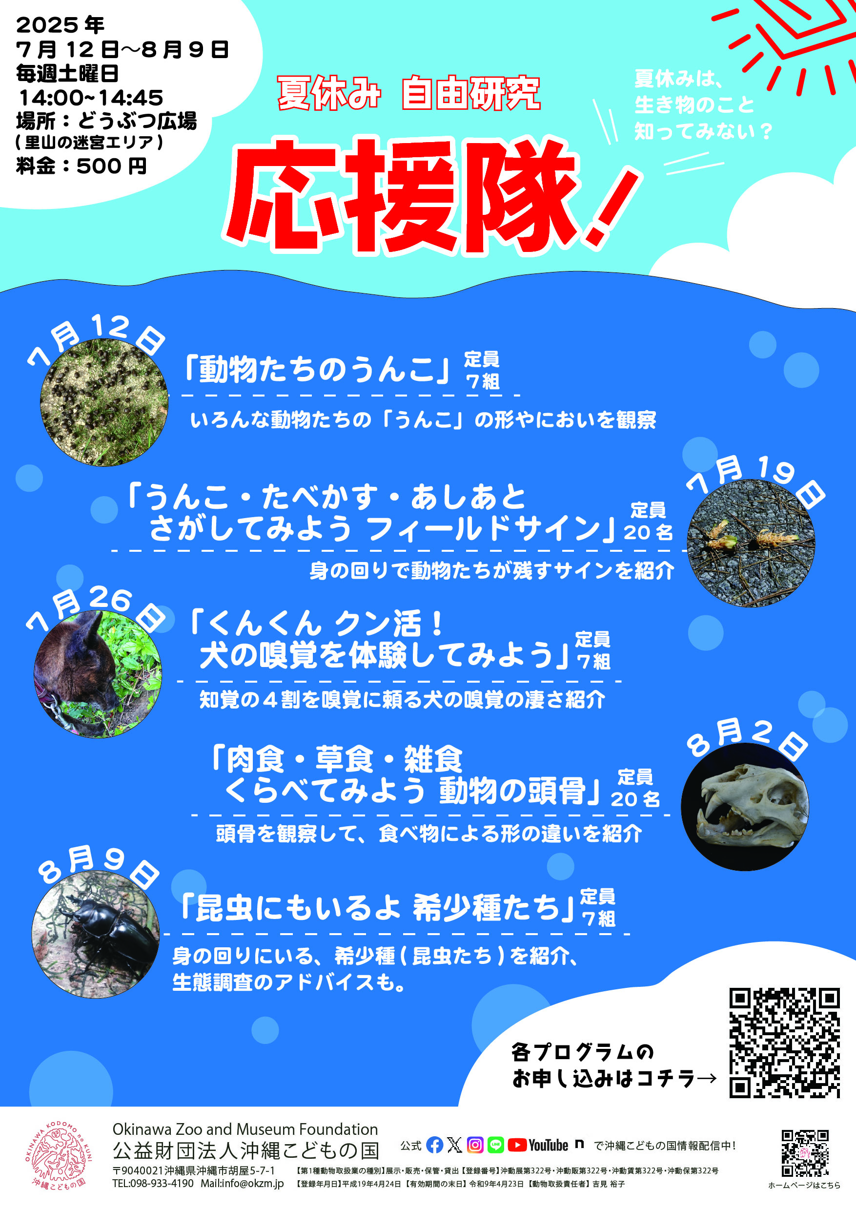 夏休み応援隊_ポスター.jpg
