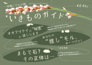 【7月】沖縄こどもの国いきものガイド
