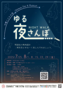 沖縄こどもの国夜（ゆる）散歩