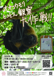 琉球のいきものワークショップ「オオコウモリとことん観察！大作戦！！」