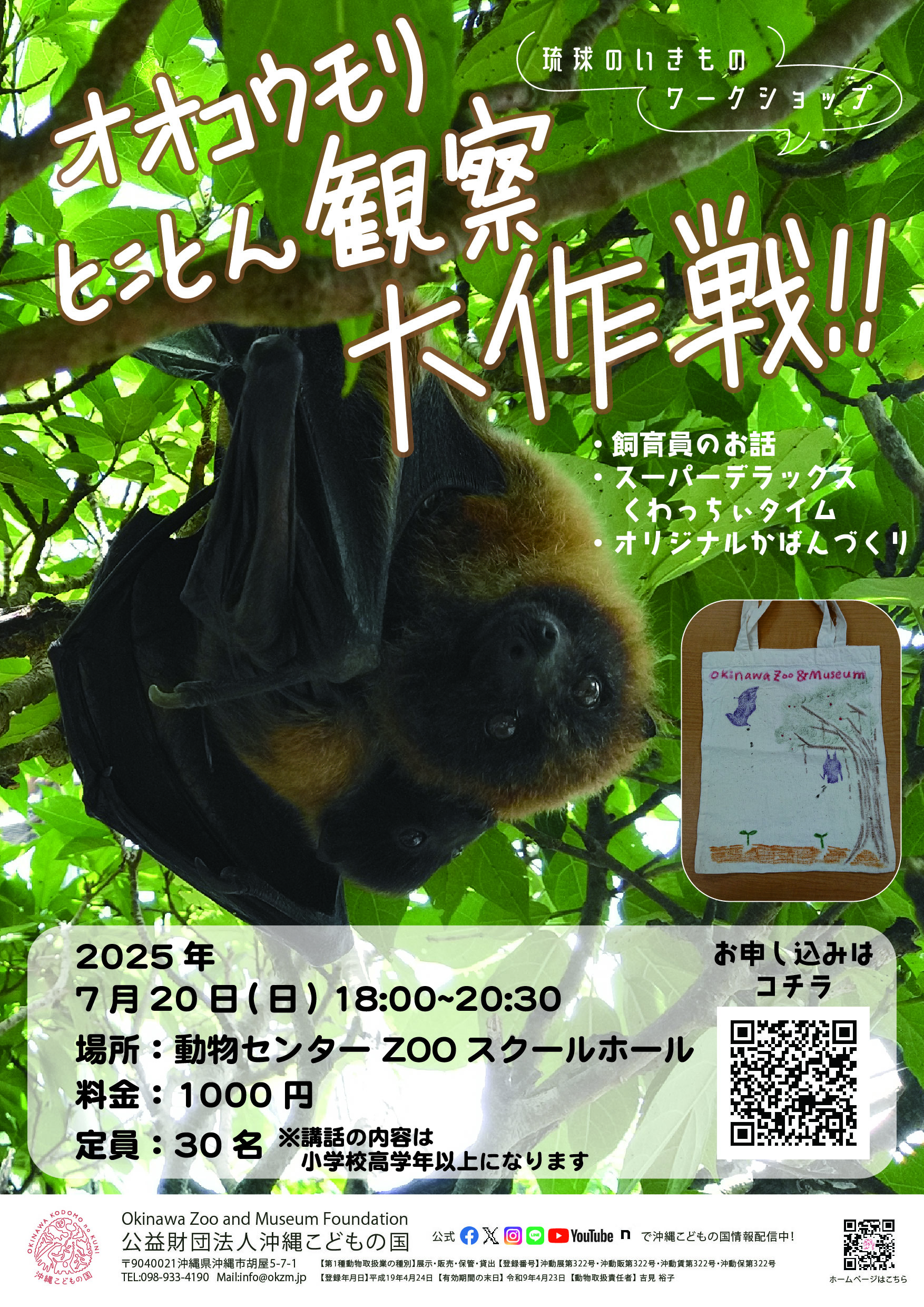 【新聞記事】アメリカンジョーク新聞　アンティーク　コウモリの子 琉球のいきものワークショップ「オオコウモリとことん観察！大作戦