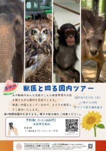 獣医と動物園見回りツアー