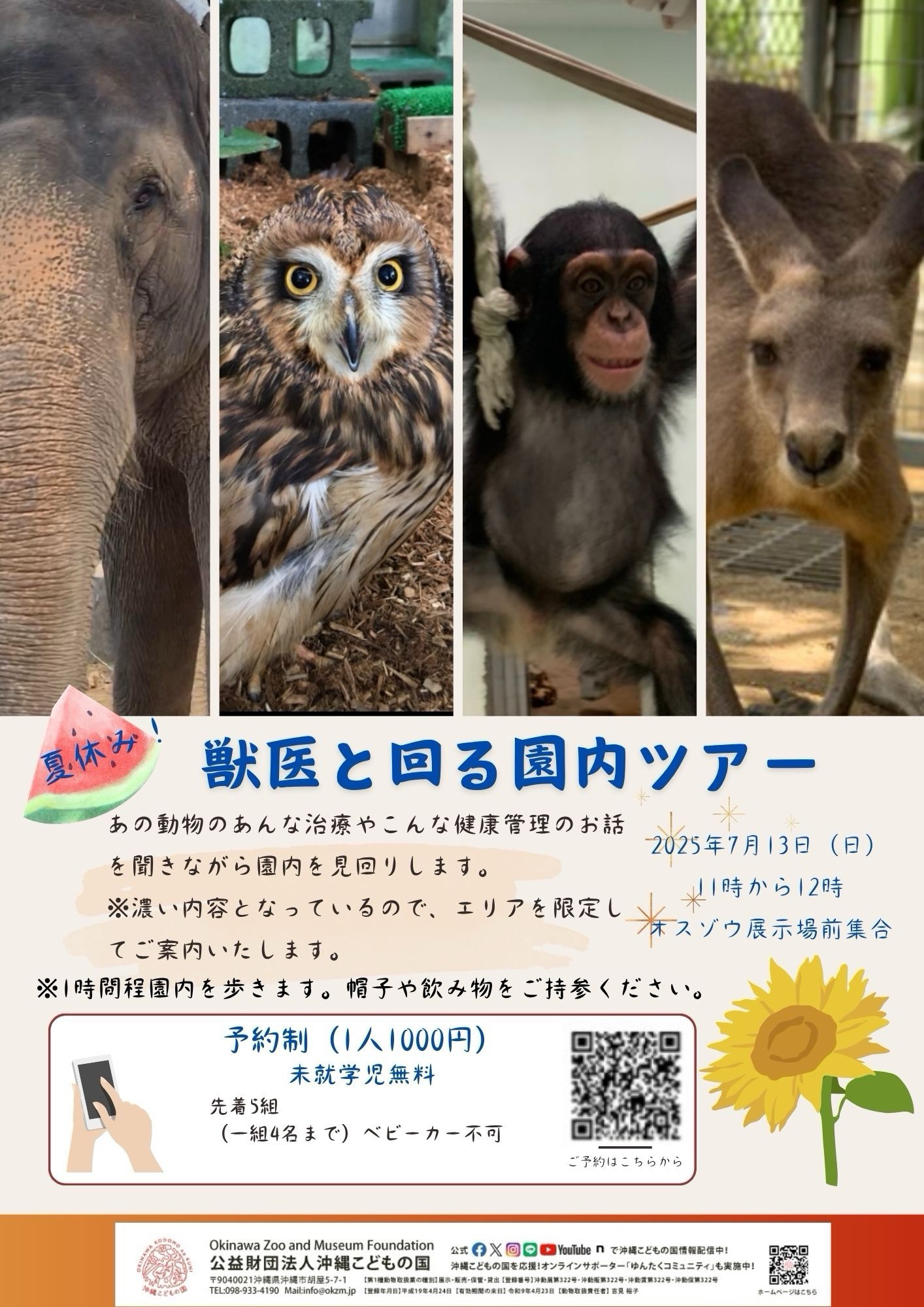 獣医と動物園見回りツアー | 沖縄こどもの国 - Okinawa Zoo & Museum