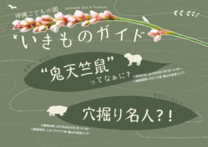 【8月】沖縄こどもの国いきものガイド