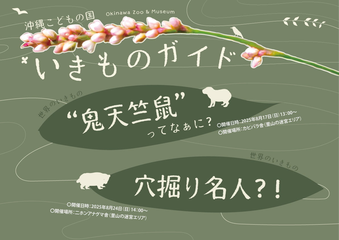 8月】沖縄こどもの国いきものガイド | 沖縄こどもの国 - Okinawa Zoo