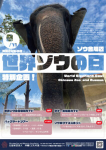 世界ゾウの日特別イベント